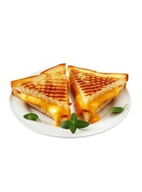 Grilled Sandwich