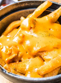 Cheeze Fries